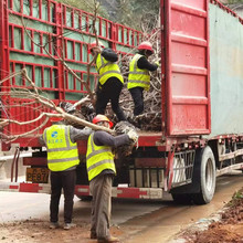 �Ĵ�6�����Ҙ� ����  �޽��Ҙ� �������l ���ϵ؅^�������l