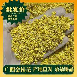 荣盛厂家2025新货微波脱水无硫桂花茶桂花干花茶养生茶饮料茶叶