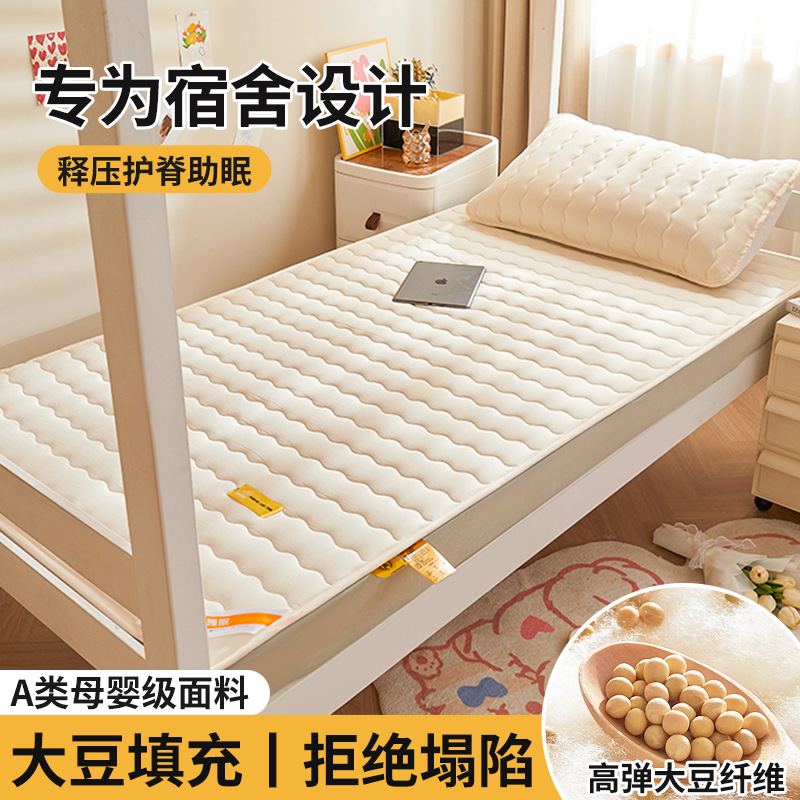 Colchón de soja, cojín, dormitorio de estudiantes en casa, cojín individual, cojín, piso especial para alquiler, cojín para dormir, fondo de cama