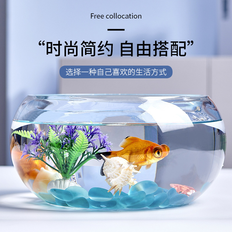 创意水族箱生态圆形玻璃金鱼缸 大号乌龟缸 迷你小型造景水培花瓶