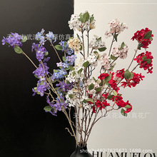 ��c���滨�������� �ѻ� �O�����{��ɫ��Y·��������ˇ�廨�쾰