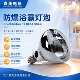普通白炽灯;其他白炽灯;红外线灯泡