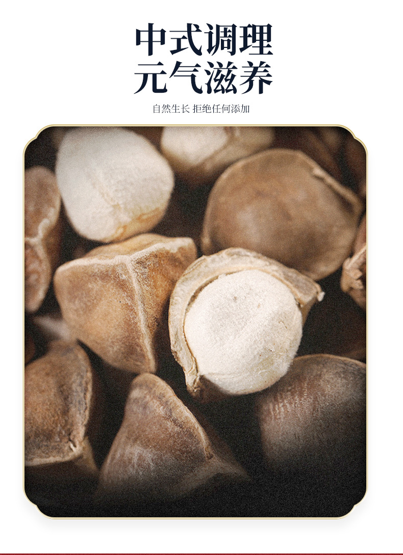 Moringa Seeds La Mu Zi Large Grade Dried Seeds 500g Bulk Pack quality and texture