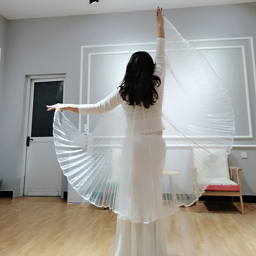 Dance Rhythm Adult Wing Hand Hook Version White Transparent Gold Wing Dance Performance Prop Cloak Belly Dance Costume for Photography