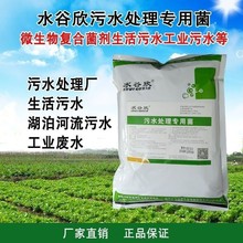 ˮ������ˮ̎�������S�������Bֳ������Uˮ��ˮ�ϳ������������