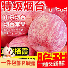 ����ɽ�|��̨�O��ˮ�����r���𮔼���ƽ��5��9���¹������ě�ɽ