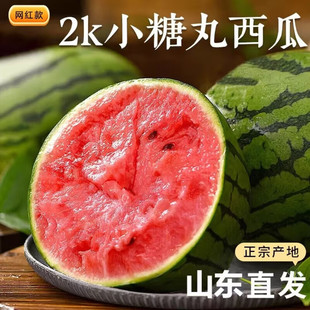 ɽ�|��������С���ϬFժ��2k����ܱ�Ƥ���Ϯ������rˮ��