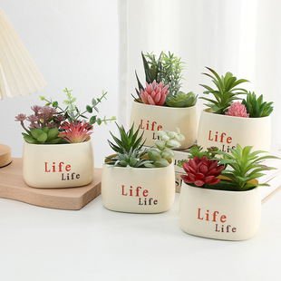 Artificial Succulent Set with Three Heads, Creative Life Plastic Pot, Ins-Style Living Room Home Decor, Wholesale in Stock