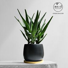 �J�C�����k���ҷ�ݗ��ֲ���̨��̨�ļ����B���܄����������Gֲ