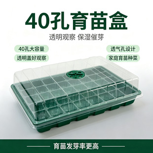40������п��{��͸���wѨ�P�ЈA�ױ��ض����߲����N����⻨��
