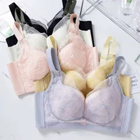 Tingting красивые кружевные бумажные стаканчики нижнее белье 36-42/36-38 Тонкие C чашки, чтобы собрать бюстгальтер оптом