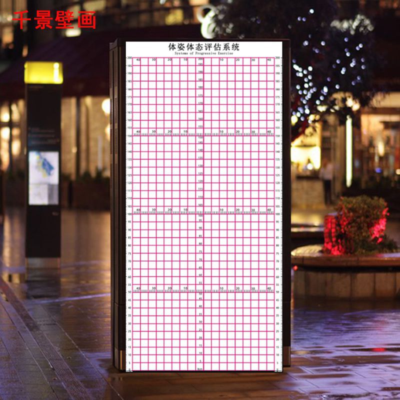 61K3 Posture Assessment Form Studio Gym Yoga Studio Wallpaper Physical Test Chart Personal Training Evaluation Chart Mural