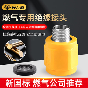 Natural Gas Insulated Connector Anti-Electricity Wall 1/2 Inch Copper Thread Internal and External Thread Water Heater Gas Natural Gas Stainless Steel