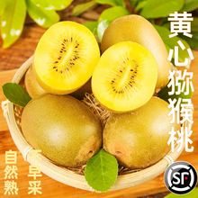 �Ĵ��S�īJ�����殐�����r�����ґ��������rˮ���ЋD�Fժ������]