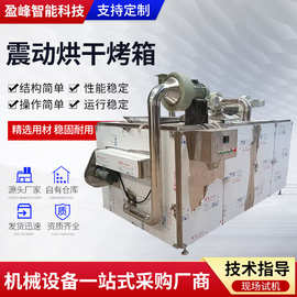 不锈钢烘干箱商用食品工业用烘箱恒温热风高温无尘震动烘干烤箱