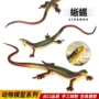 实心爬行静态仿真玩具