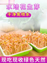 ˮ�໨��ѿ��ѿ�������P�o������Ӵ�l��������Nֲ��