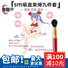 sm情趣用品9件组合套装包邮吸盘震动盒装源头厂家 捆绑情趣七件套