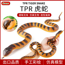 �羳�������ģ��TPR��̖ܛ�z�����S���������R�β���f�}�����