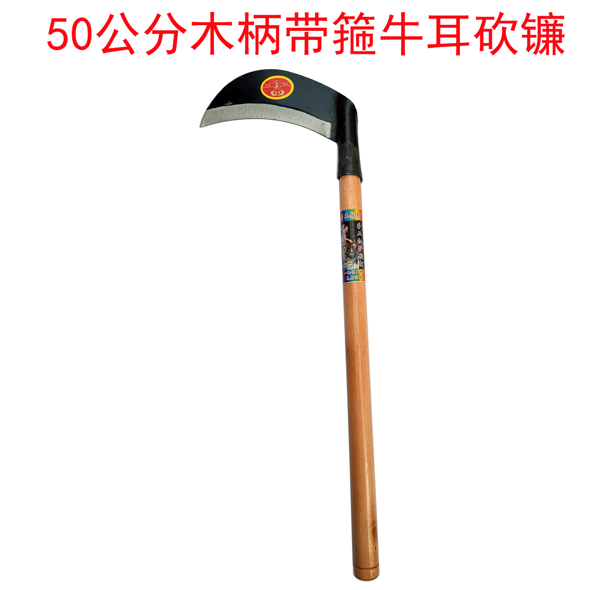 13922729682_251758656