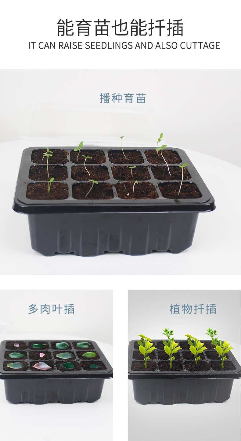 育苗盘_03.jpg
