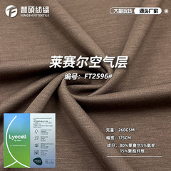 莱赛尔空气层面料 260g弹力亲肤天丝针织布潮牌套装裤装卫衣布料