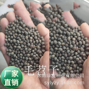 ���l�o������ �㶹�N�� �ϻ����� ë���� �G�������ݵȶ���;ֲ��