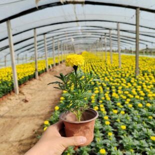 �f�۾ջ����L�������ȸ�ݻ����ͺ��͟ỨͥԺ�̨���ԾG��������