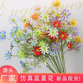 六头蓝星花婚庆仿真小太阳花家居客厅装饰插花排格桑花艺绢布假花