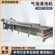 全自动商用果蔬高压辣椒青菜喷淋式气泡清洗机加工全自动清洗设备