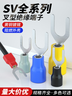 SV�Ӿ������A�^������������Y��U���䉺�Ӿ������~������늾����^