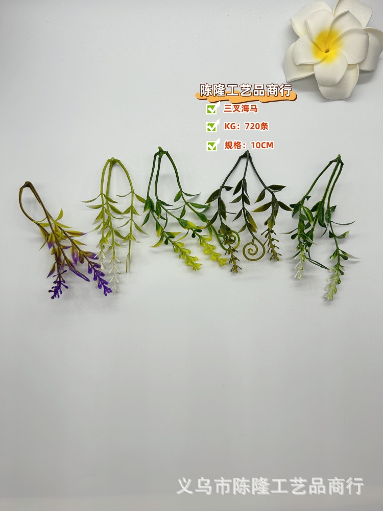 微信图片_20250319172652_副本