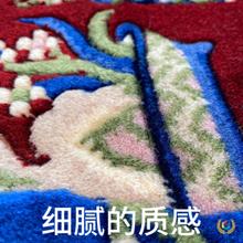 ✅新西兰羊毛藏毯民族风地毯藏式对毯客厅沙发床边厂家直销柔软家