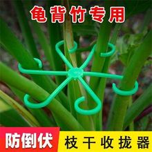 ���Q������֧�ι̶������@����������֧��ˮ�໨���֦�����ټ�