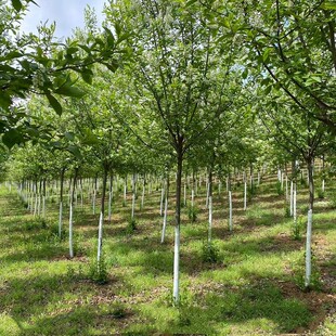 ���~�������2-10���� �������~���� ����ռ�ؘ� ���~����^��