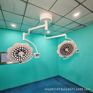 Surgical Light, Lightweight, Conventional Shadowless Lamp, Operating Room up and down Adjustable Shadowless Lamp, Beauty Salon Led