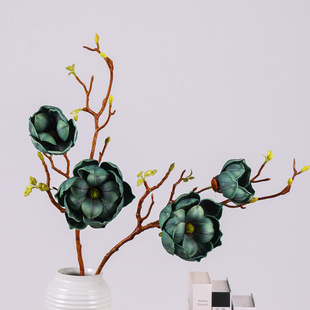 ���滨��ѩ���mľ�޻�����ʽ�ҾӘӰ��g�Ƶ��c�廨�b����յ���