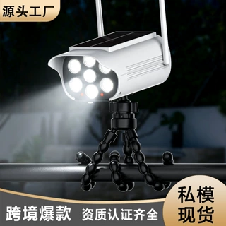 哇噢定制太阳能仿真监控灯户外庭院照明灯人体感应灯防水车库路灯