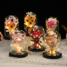 տ7õ廨 ̫ꖻɻ Iins˹Y