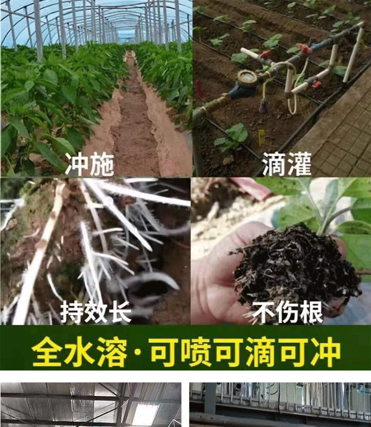详情1-8_18.gif