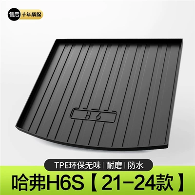 Trunk Mat: Edition Trunk Mat, Car Decoration - 21-24-models-h6s-standard