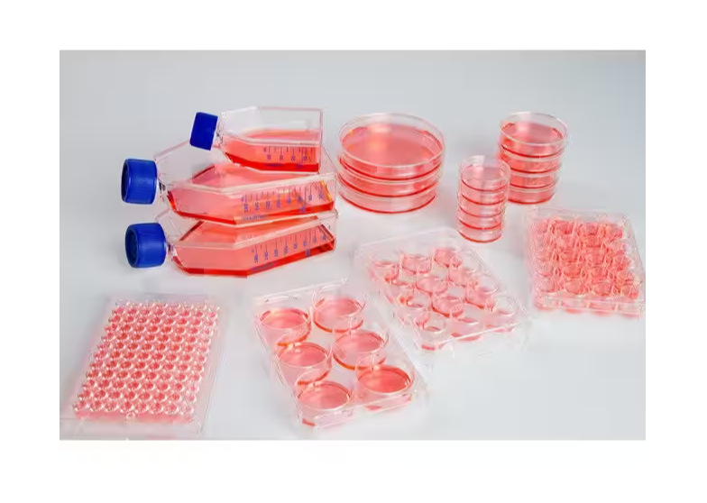 赛默飞 NUNC 174931 Sphera超低吸附表面，12孔板