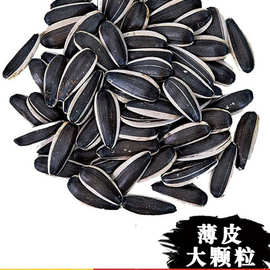 生瓜子葵花籽新货特大颗粒24年内蒙古新鲜现炒货熟瓜子零食