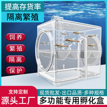 SQGSֱN~׸x~ڒʽҸaѷɴl