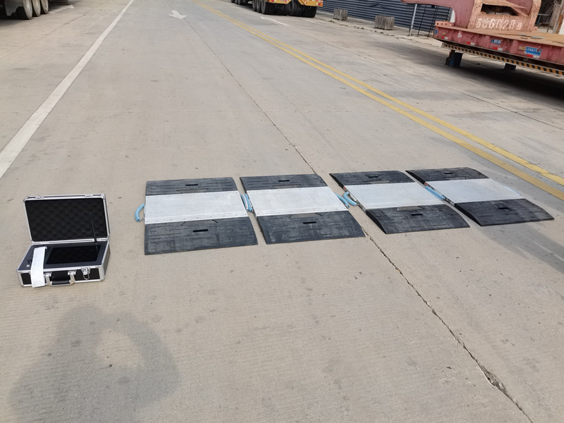 一拖四无线静态称重仪