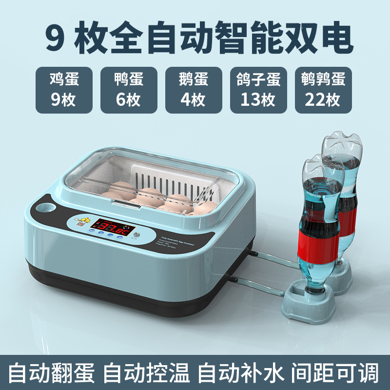 Incubadora, hogar pequeño, incubadora inteligente automática, incubadora, incubadora, loro, huevo de pájaro, pollo, pollo, pollo