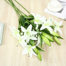 羳ٺ3^^l[bҰٺϻY