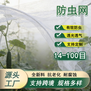 �羳���l�����W���ܼӺ����ϩ���仨���߲˴����Bֳ�÷��x�W