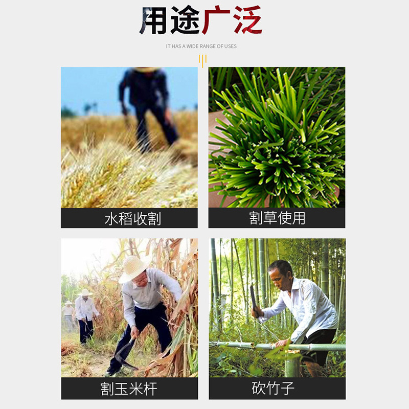 O1CN01bQIE091pWaliYbFF4_!!2874