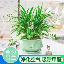 ��߅���m�҃�����ֲ���ļ��������ȩ���B�����L�پGֲ